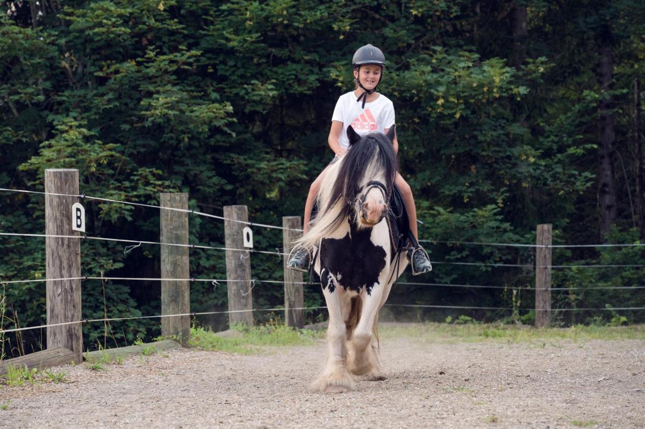 Familienbauernhof Samerhof Pfarrwerfen Bagian luar foto