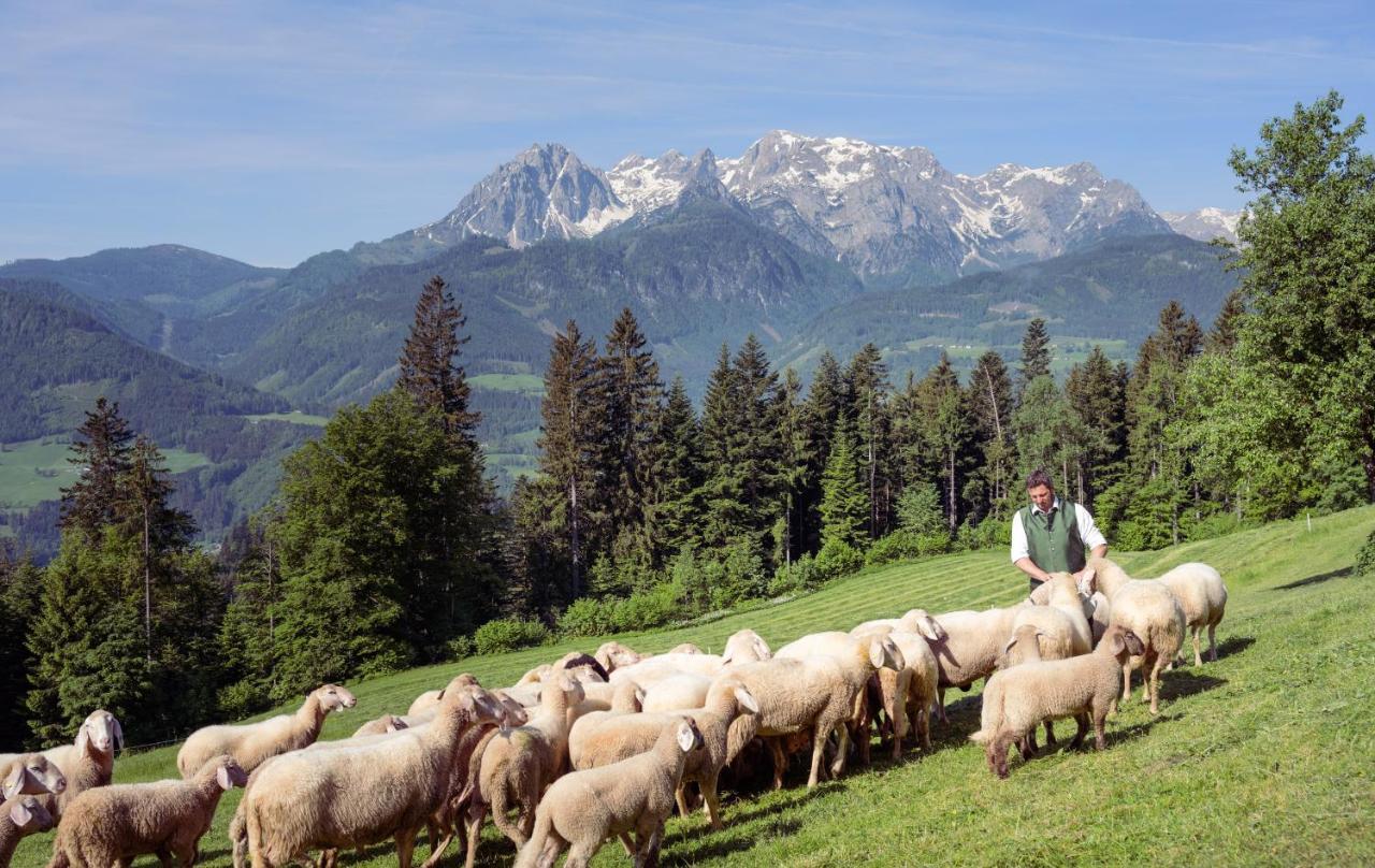 Familienbauernhof Samerhof Pfarrwerfen Bagian luar foto