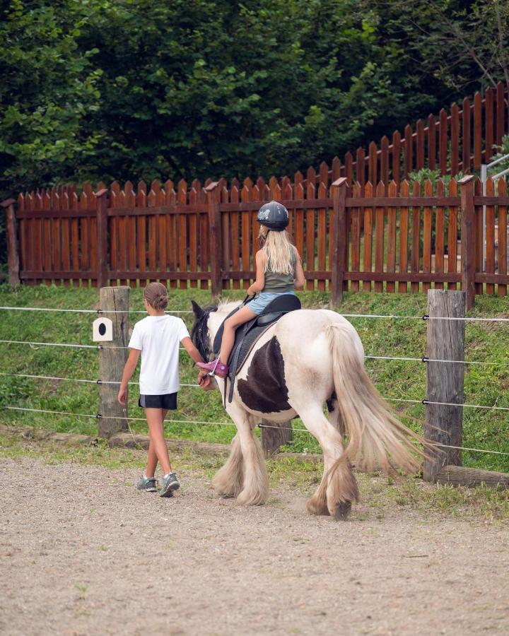 Familienbauernhof Samerhof Pfarrwerfen Bagian luar foto