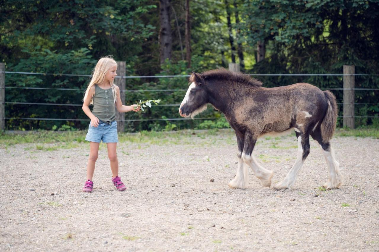 Familienbauernhof Samerhof Pfarrwerfen Bagian luar foto
