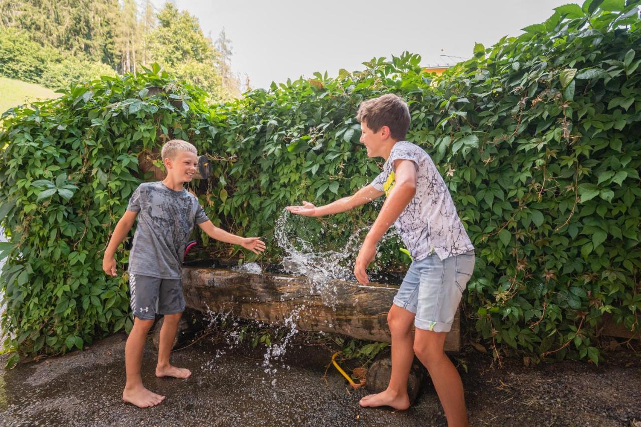 Familienbauernhof Samerhof Pfarrwerfen Bagian luar foto