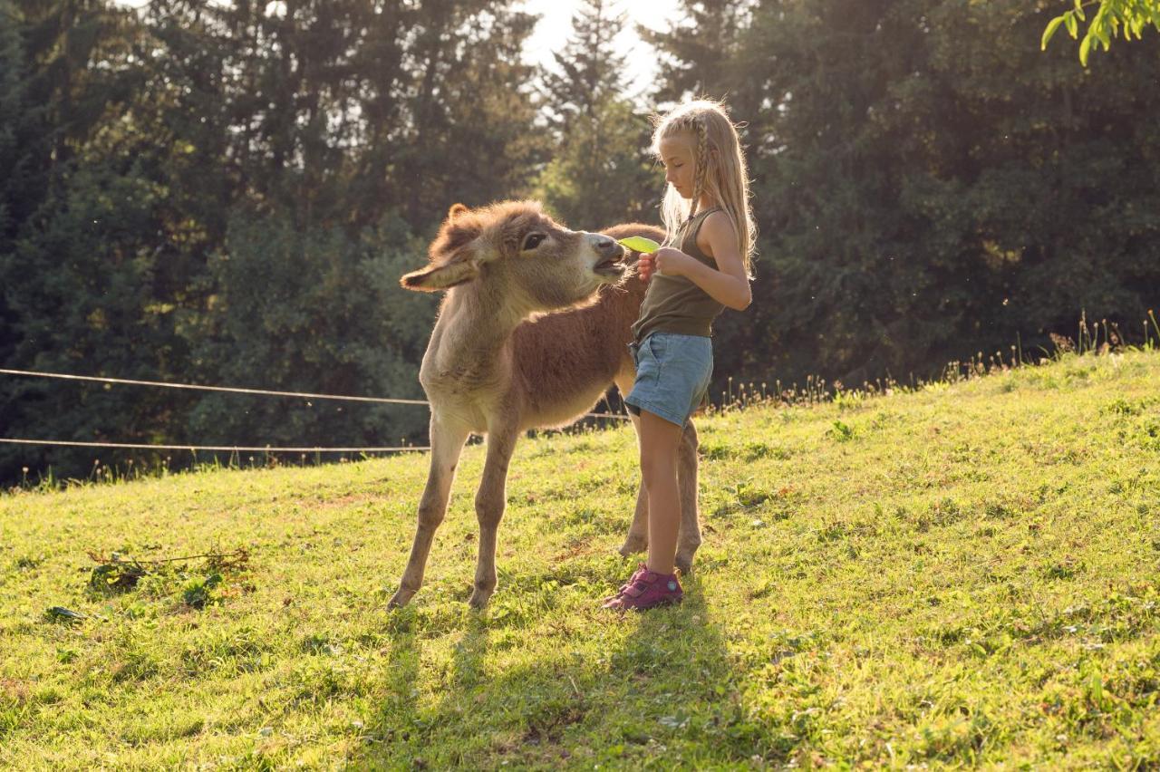 Familienbauernhof Samerhof Pfarrwerfen Bagian luar foto