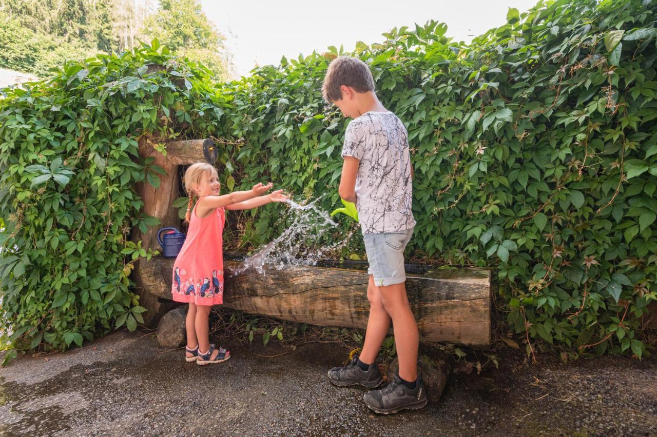 Familienbauernhof Samerhof Pfarrwerfen Bagian luar foto