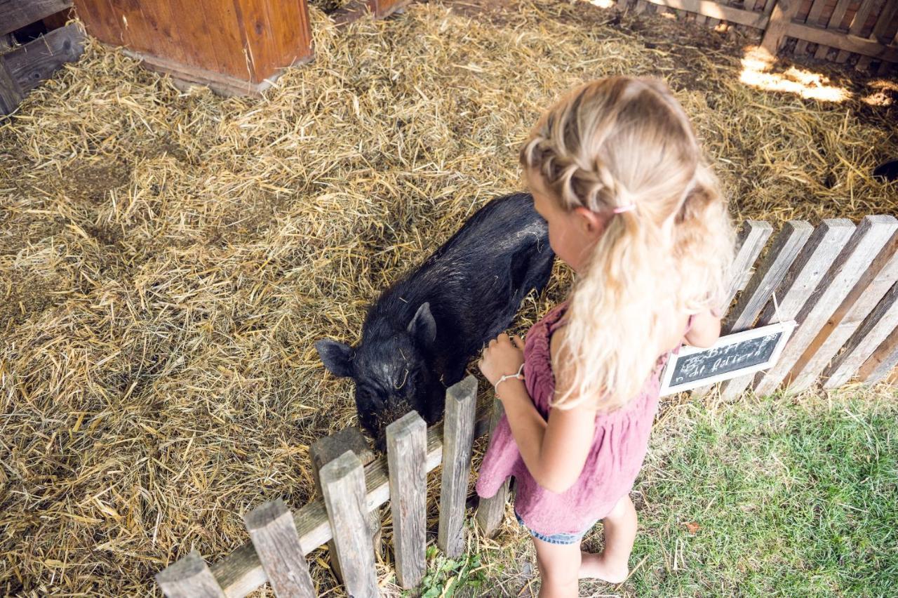 Familienbauernhof Samerhof Pfarrwerfen Bagian luar foto
