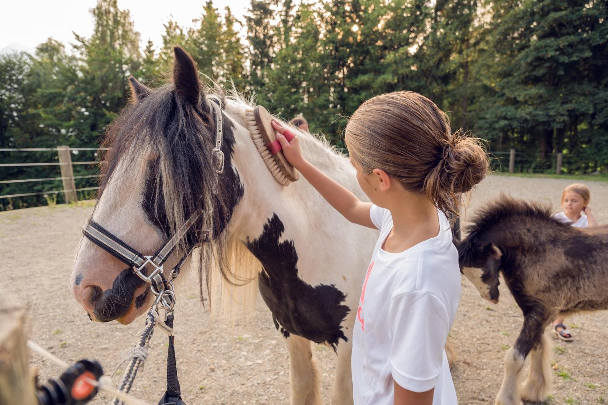 Familienbauernhof Samerhof Pfarrwerfen Bagian luar foto