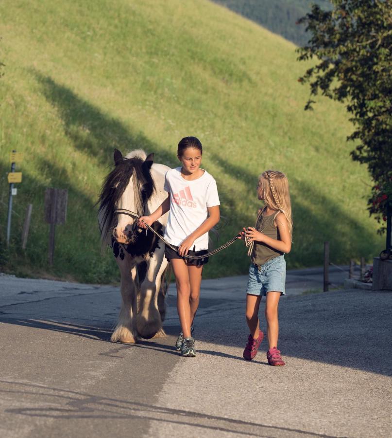 Familienbauernhof Samerhof Pfarrwerfen Bagian luar foto