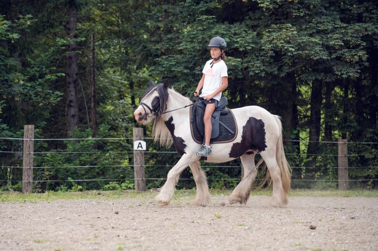 Familienbauernhof Samerhof Pfarrwerfen Bagian luar foto