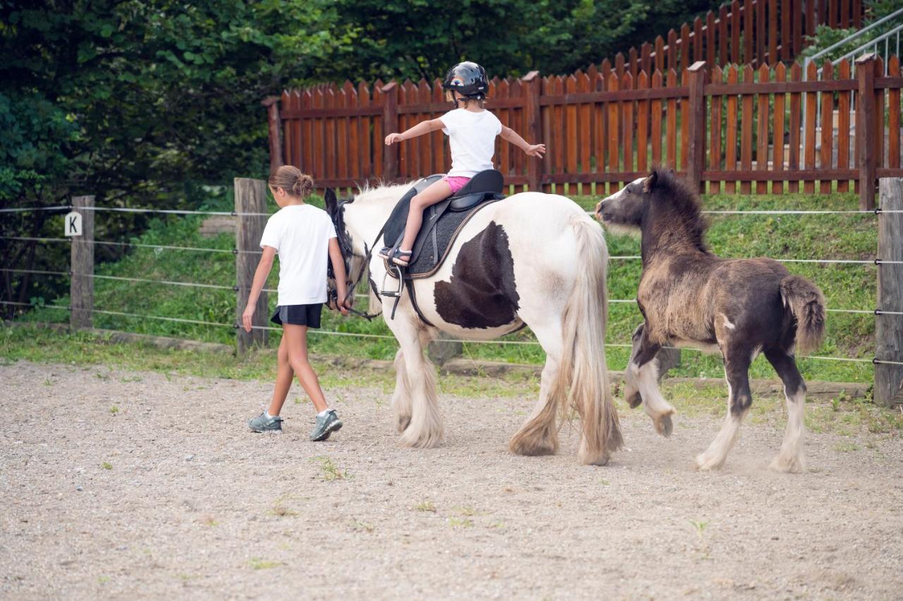 Familienbauernhof Samerhof Pfarrwerfen Bagian luar foto