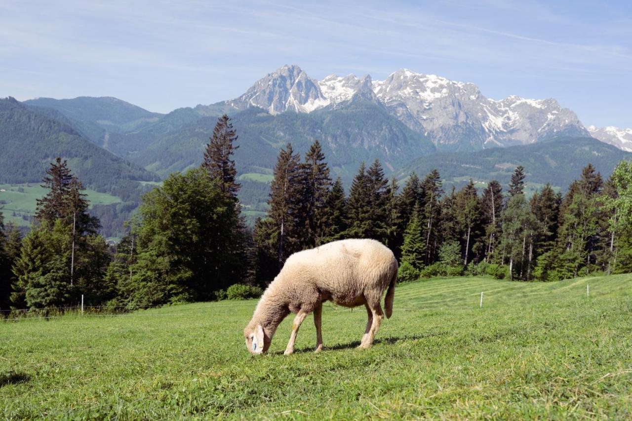 Familienbauernhof Samerhof Pfarrwerfen Bagian luar foto