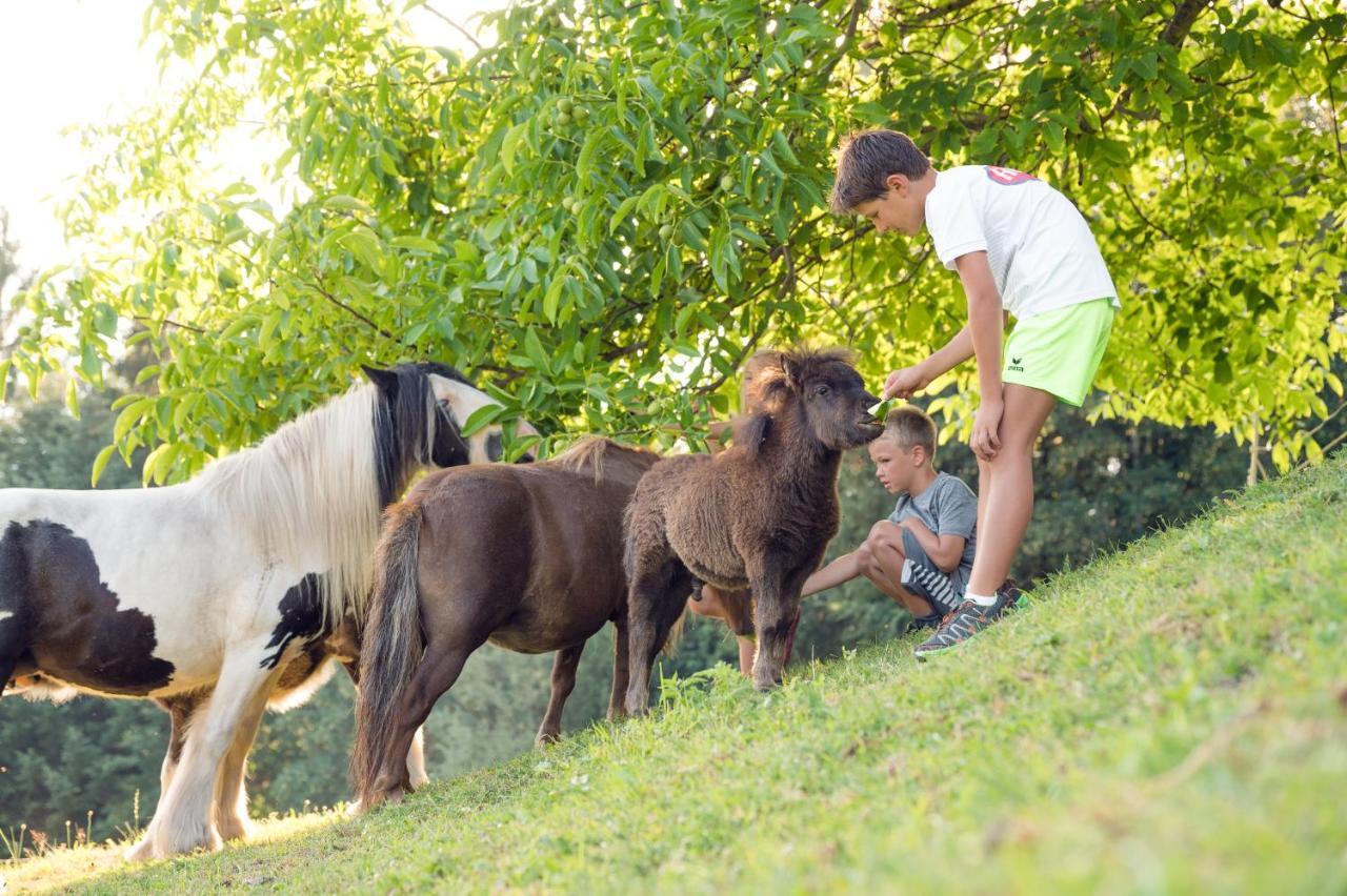 Familienbauernhof Samerhof Pfarrwerfen Bagian luar foto