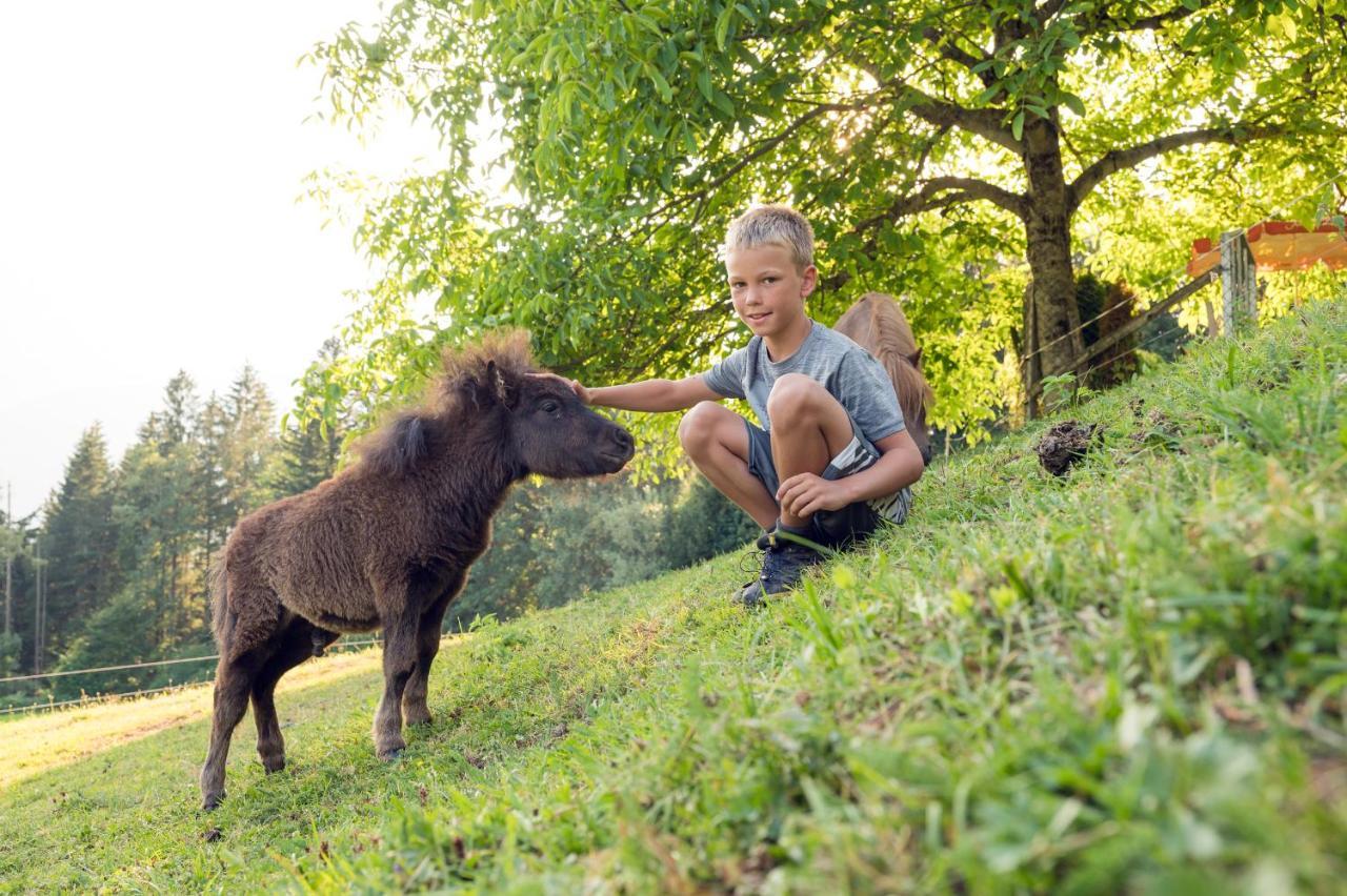 Familienbauernhof Samerhof Pfarrwerfen Bagian luar foto