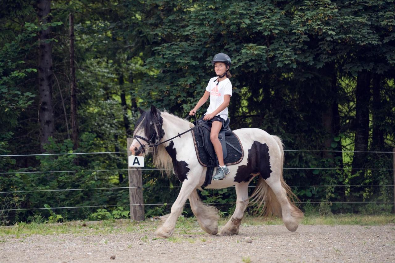 Familienbauernhof Samerhof Pfarrwerfen Bagian luar foto