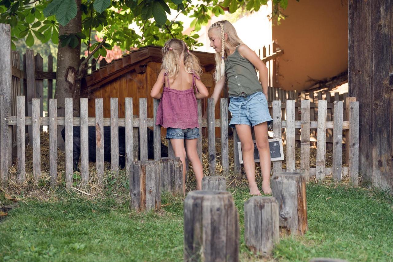 Familienbauernhof Samerhof Pfarrwerfen Bagian luar foto