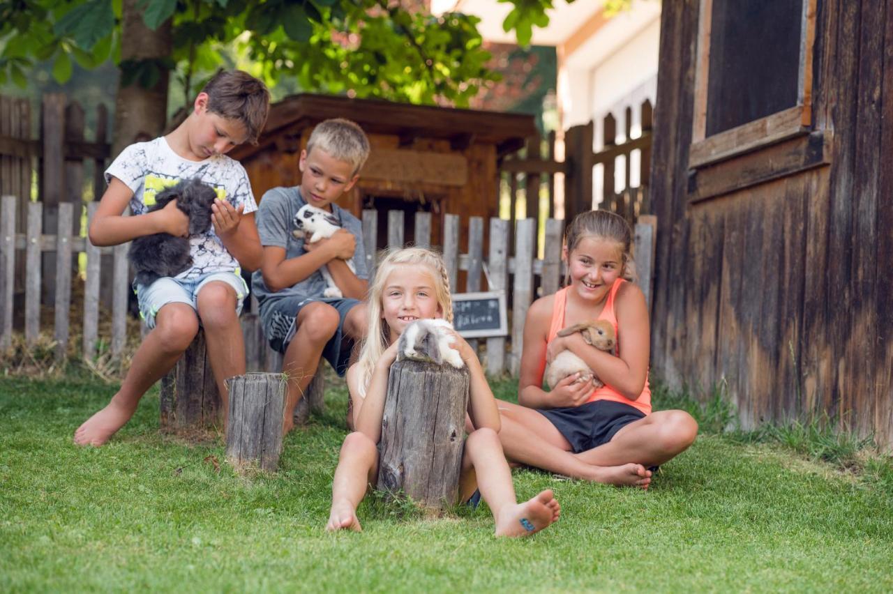 Familienbauernhof Samerhof Pfarrwerfen Bagian luar foto