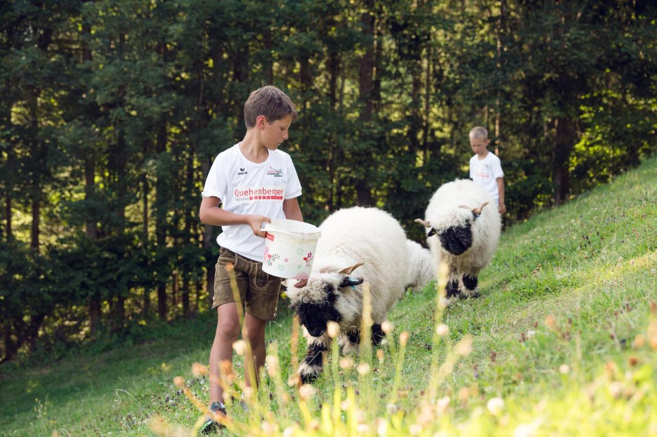 Familienbauernhof Samerhof Pfarrwerfen Bagian luar foto